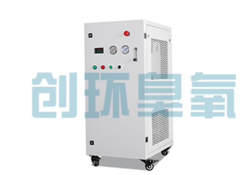 果洛石斑鱼养殖水质调控完整指南:臭氧发生器配置与操作步骤